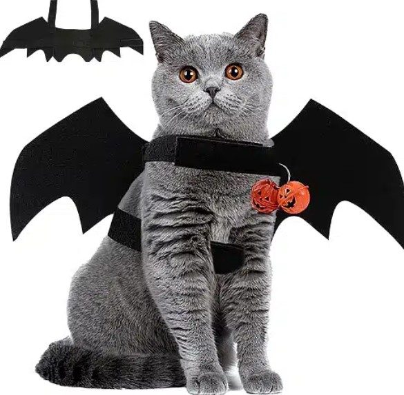 Spooky Style: Dressing Your Cat for a Safe and Stylish Halloween